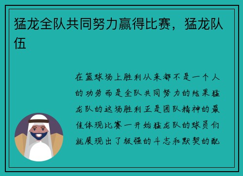 猛龙全队共同努力赢得比赛，猛龙队伍