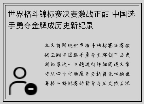 世界格斗锦标赛决赛激战正酣 中国选手勇夺金牌成历史新纪录